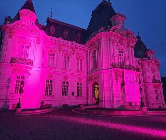 Muzeul de Arta Craiova va realiza iluminarea în roşu, în această seară și mâine 1 decembrie pentru a marca Ziua Mondială Sida. Roşu este culoarea care simbolizeaza solidaritatea cu persoanele infectate și dorința de a diminua răspândirea infecției.